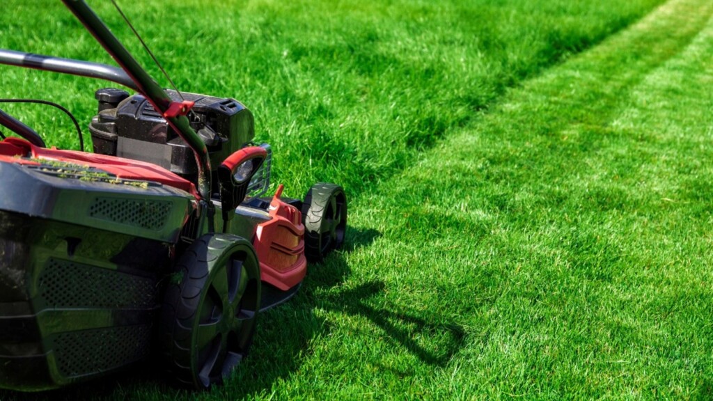 Lenexa Lawn Care Services