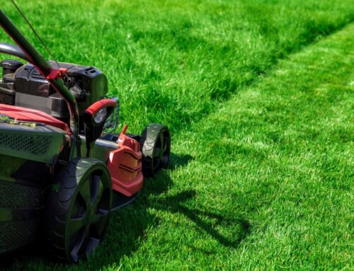 How Lenexa Lawn Care Services Can Impact Your Yard