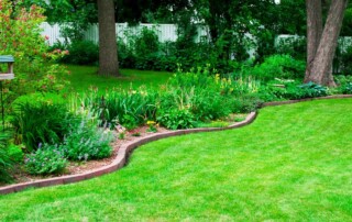 Lenexa Lawn Care Services