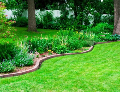 Lawn Care Services in Leawood That Make Yards Stand Out