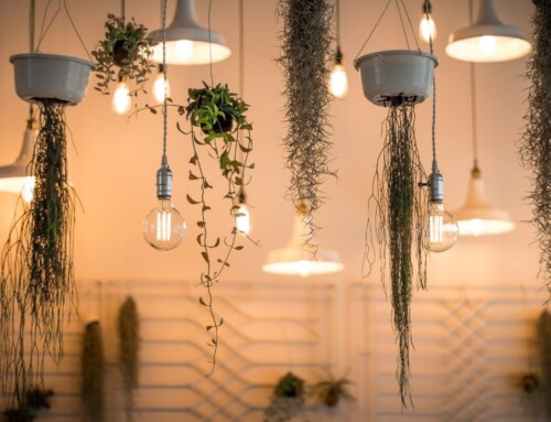 Outdoor Lighting Design in Parkville That Brings Homes to Life