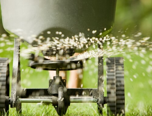 How Will Our Lawn Fertilization Company in Lenexa Improve Your Lawn?