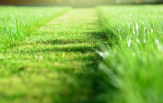 Lawn Services in Lenexa