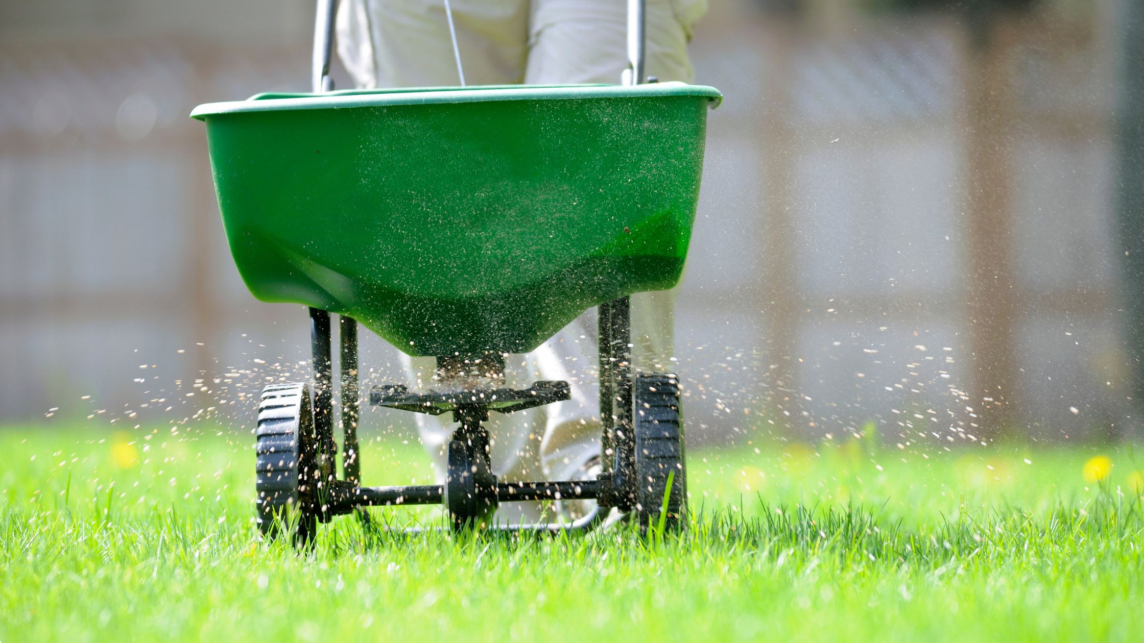 Lawn Fertilization Company in Leawood
