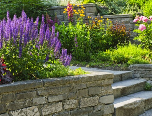 Who Can I Hire for Landscape Maintenance in Leawood?