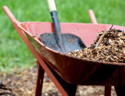 How Can I Find the Best Landscape Company in Leawood?