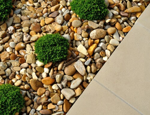 What are the Top 5 Reasons Why I Should Hire a Landscape Maintenance Company in Leawood?