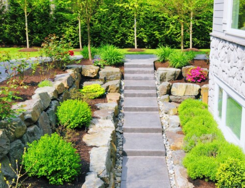 How Does Landscape Maintenance in Leawood Keep Lawns Looking Clean?