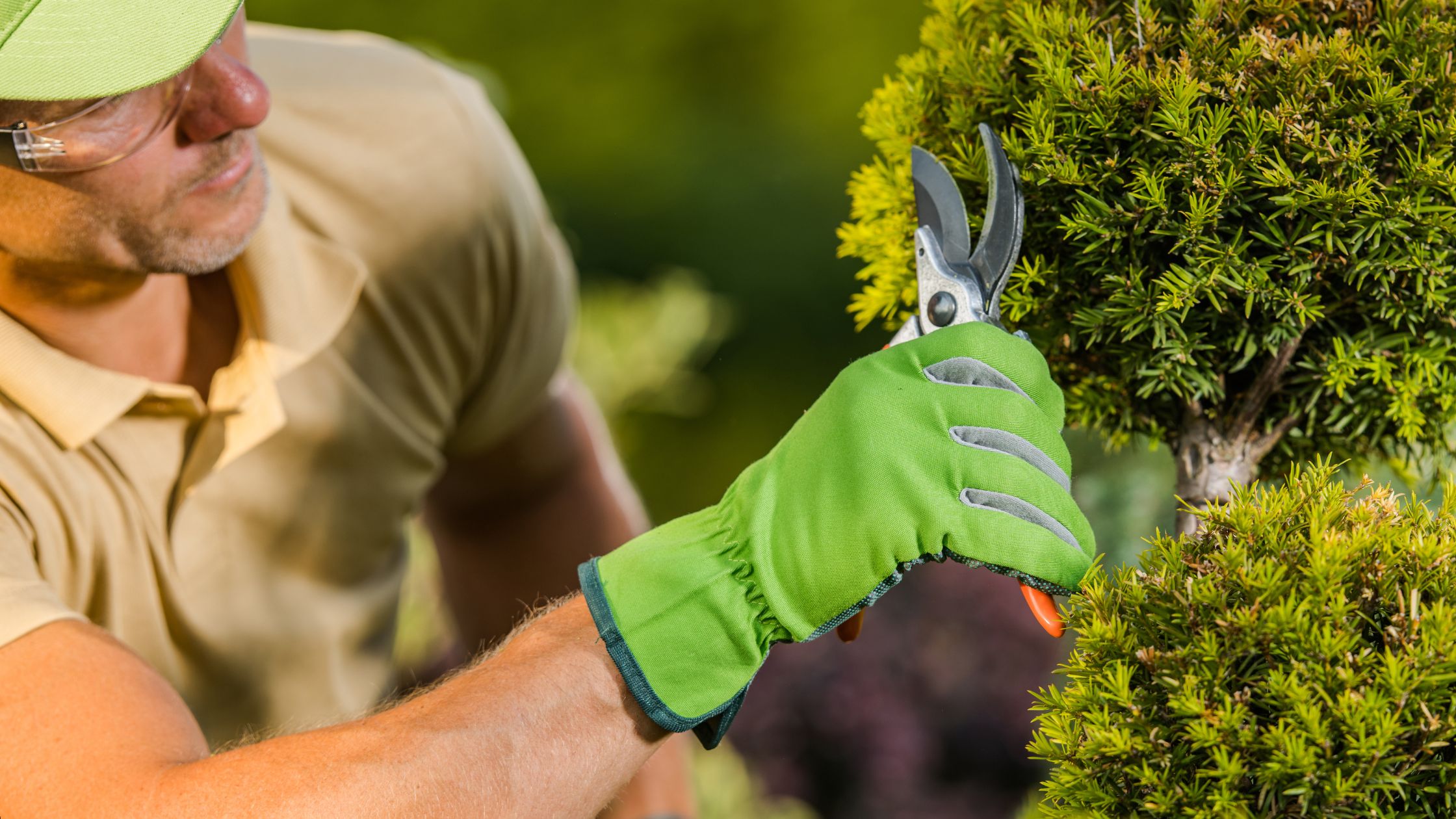 Landscape Maintenance in Leawood
