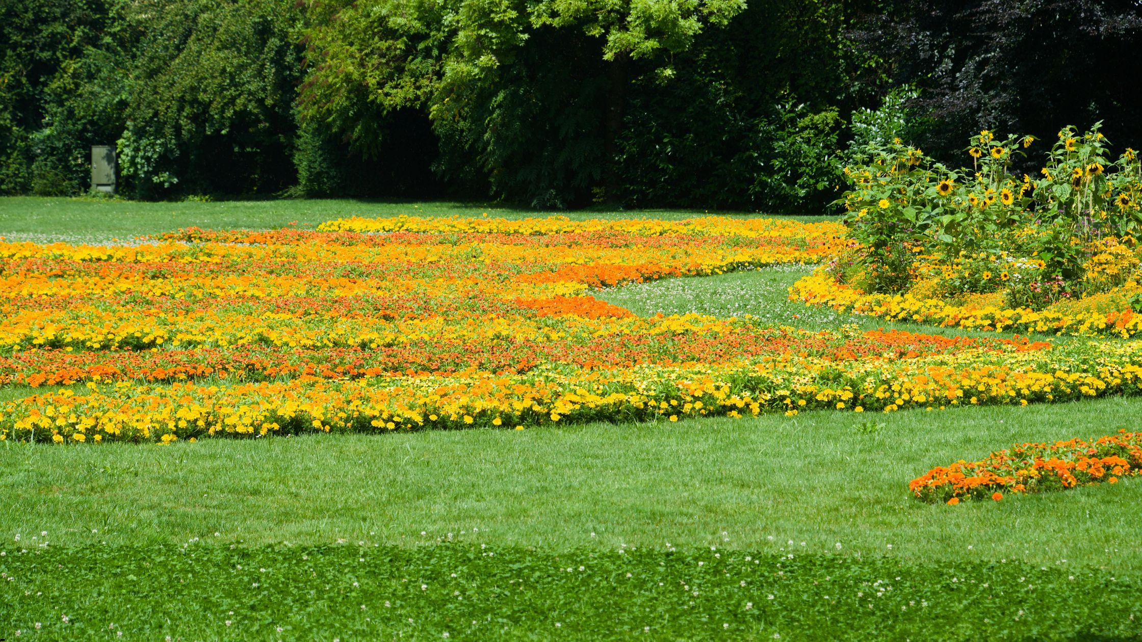 Landscaping Services in Leawood