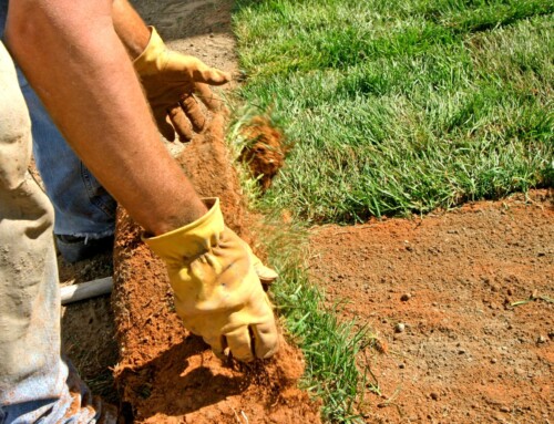 What Can a Lawn Maintenance Company in Leawood Do That I Can’t?