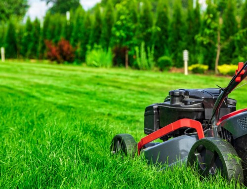 How Can I Find the Right Lawn Service Company in Leawood?