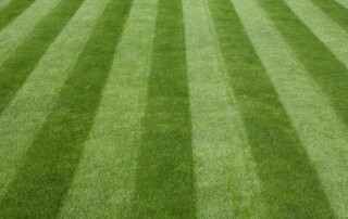 Lawn Service Company in Leawood