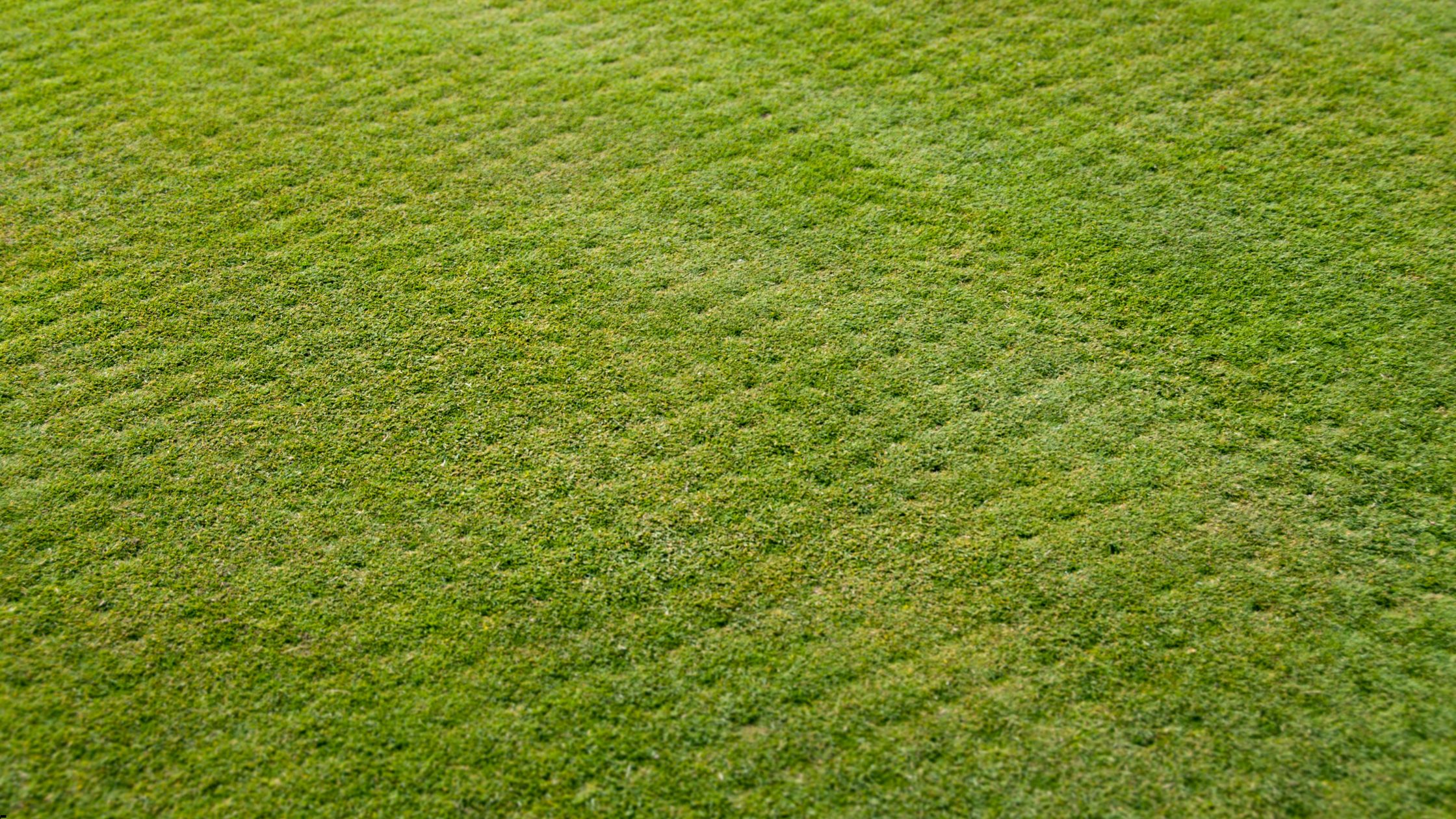 Lawn Aeration Company in Leawood