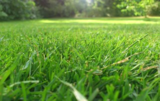  Lawn care business Lenexa