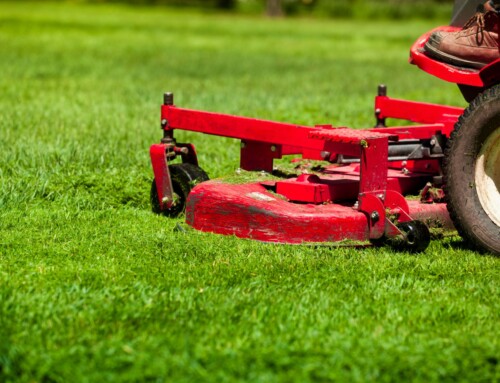 DIY Lawn Care Can Be Taxing – Why You Should Consider a Professional Lawn Care Company in Leawood