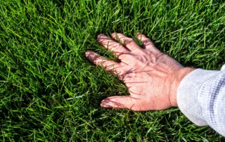 Lawn Fertilization Company in Lenexa