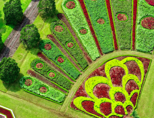 What Are Leawood Landscape Designs?