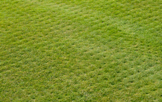 Best Landscaping Company in Lenexa