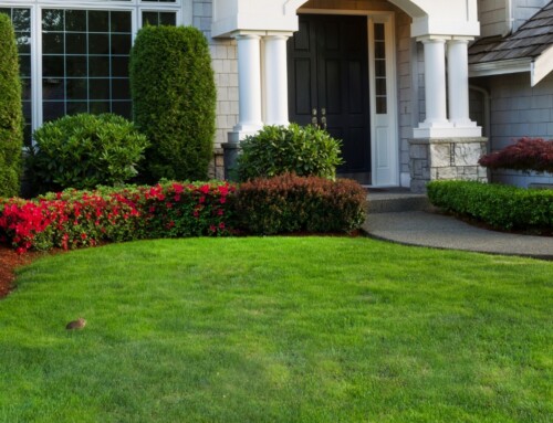 Why You Might Need a Leawood Lawn Aeration Company — Even If Your Grass Looks Fine