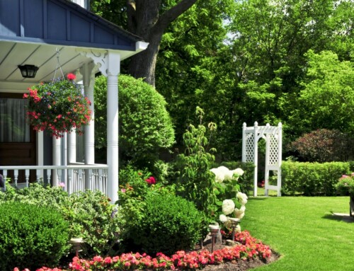 What to Look for in a Leawood Landscaping Designer Who Actually Listens