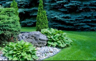 Leawood landscape services