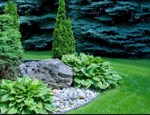 5 Tips for Making Your Yard Look Spectacular