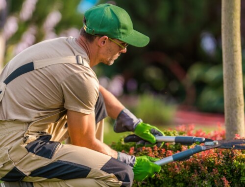 What Really Matters When Hiring Lenexa Lawn Care Services