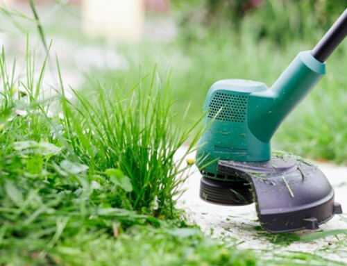 How Can Lawn Care Services in Lenexa Be Done?