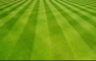 Lawn fertilization company in Leawood