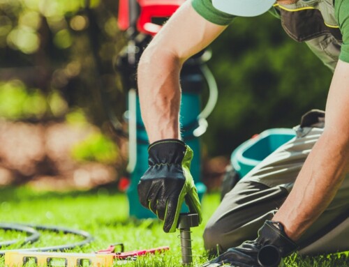 What Are the Best Options for Leawood Landscape Designs That Actually Work Long-Term?