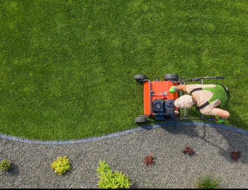 Should I Hire a Lawn Care Company in Lenexa?