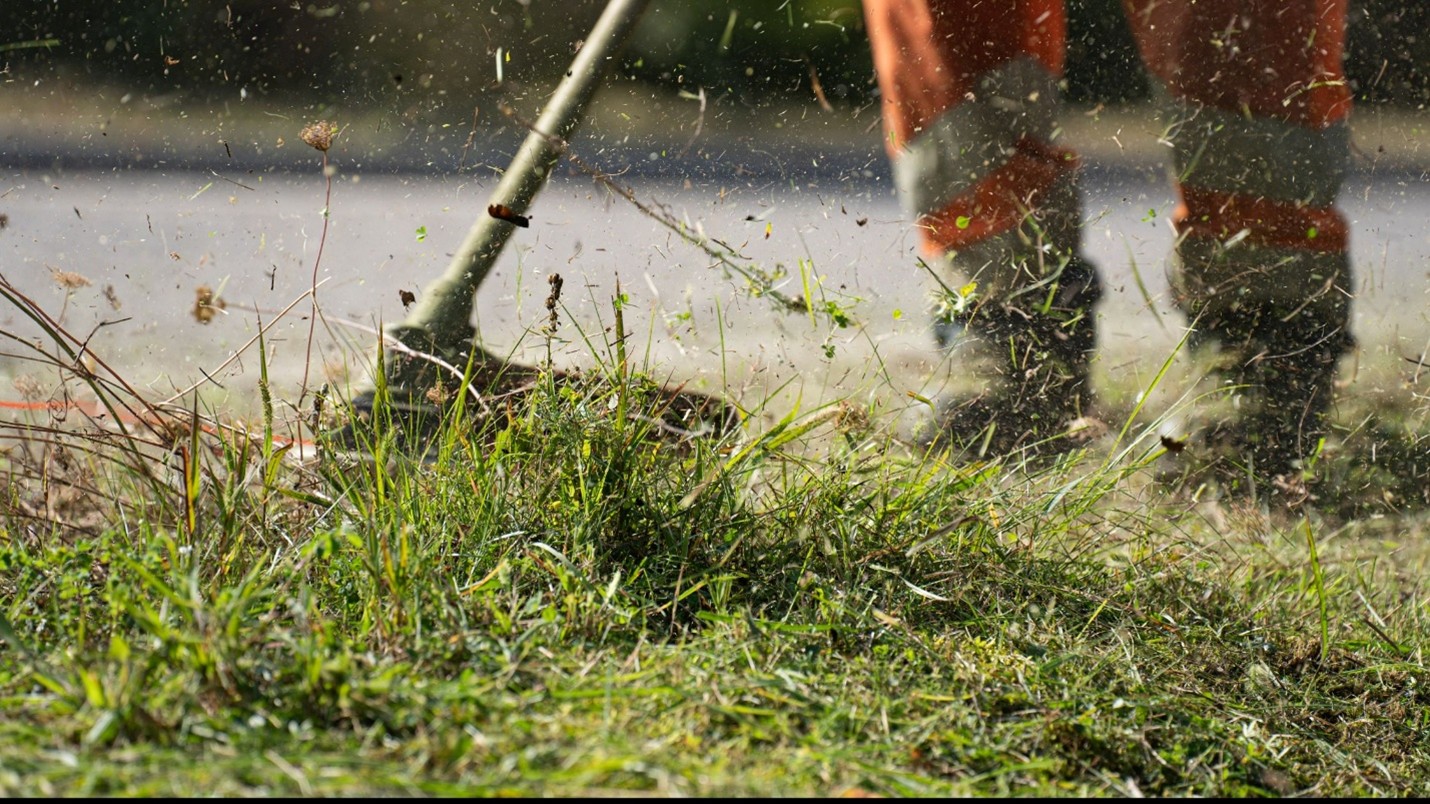 Lawn Care Company in Lenexa