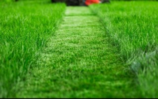 lawn service company in Lenexa