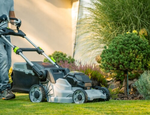How to Choose the Right Leawood Yard Mowing Company Without Getting Burned