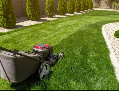 Who’s Everyone’s Go-To Lawn Service Company in Leawood?