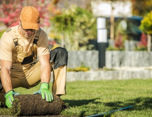 What Most Homeowners Miss When Hiring a Leawood Lawn Fertilization Company