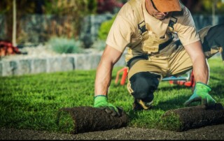 Best Landscape Company in Parkville