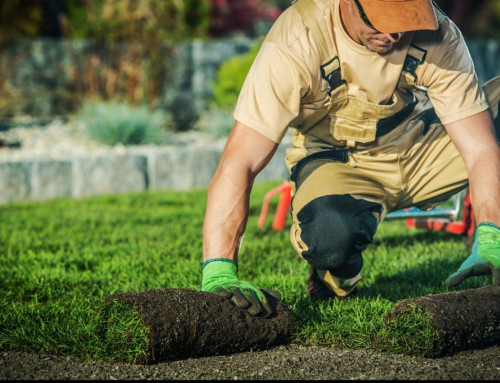 Who Is the Best Landscape Company in Parkville?