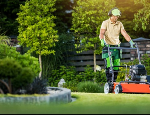 Lenexa Lawns Are a Lot Easier to Maintain Than You Might Think – Here’s Why