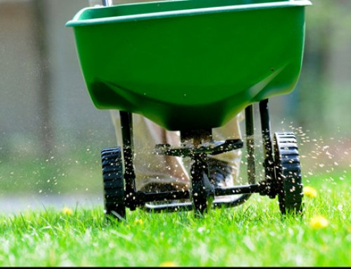 5 Tips on How to Keep Your Grass From Dying During the Kansas Summer Heat