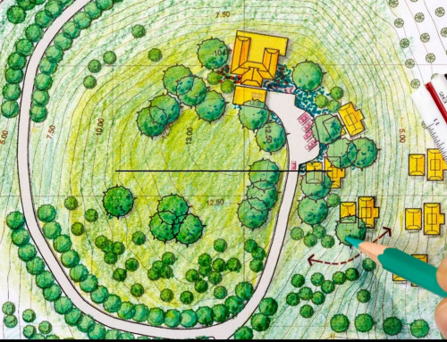 A Lenexa Landscape Designer Does More Than Just Make Your Yard Look Pretty — Everything You Should Know