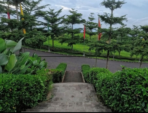 A Landscaping Company in Lenexa Might Be Your Next Big Investment — Here’s What You Should Look Out For