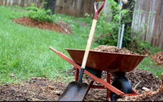 Best Landscape Company in Parkville