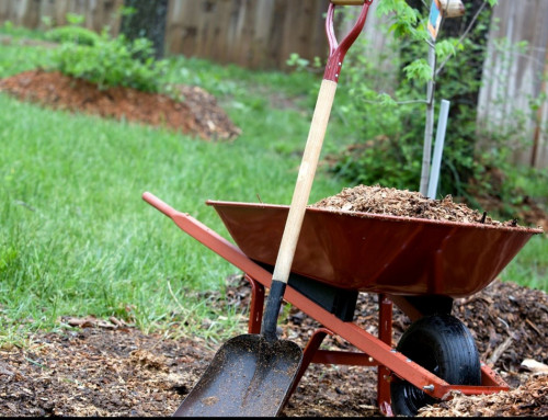 What Should You Look for in a Landscaping Partner?