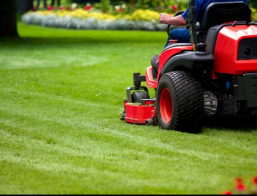 Lawns in Leawood Have Never Looked Better – Why You Should Invest in Lawn Care Services Today