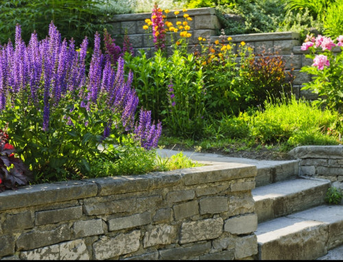 Looking for a Landscaping Company in Leawood? Here’s Everything You Should Know
