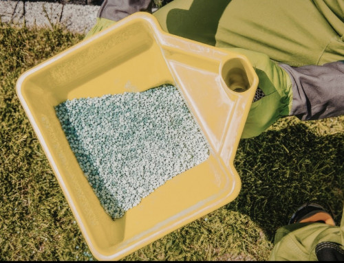 Having Trouble Keeping Your Grass Alive? Here’s How a Lawn Fertilization Company in Leawood Can Help You