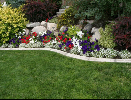 A Landscaping Company in Leawood Can Save Your Lawn – Here’s 5 Benefits to Working With The Pro’s