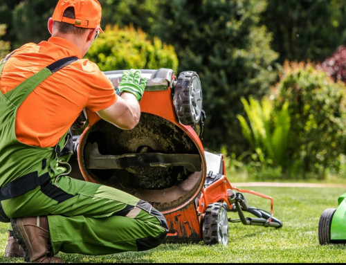 A Lawn Maintenance Company in Leawood is a Worthy Investment – Here’s Why